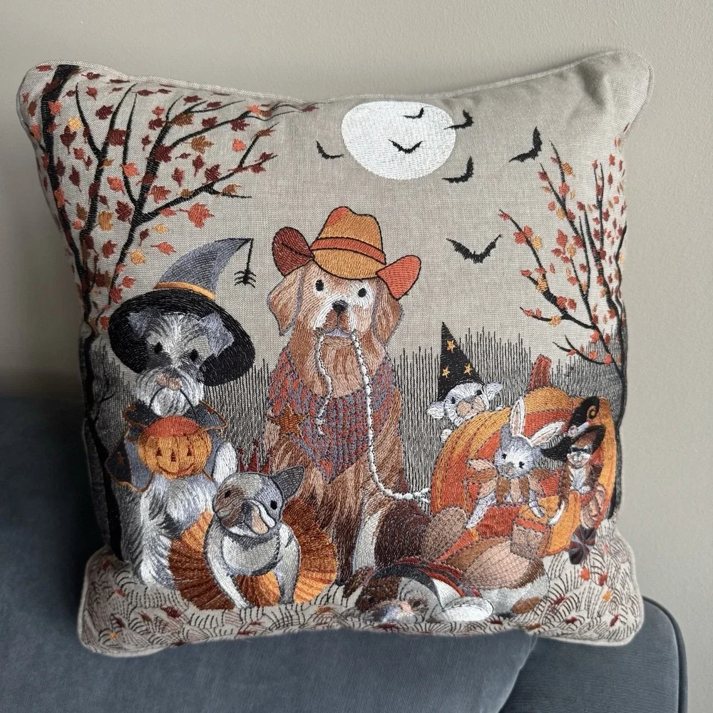 PIER1 HALLOWEEN EMBROIDERED DOG AND CAT PILLOW BNWT